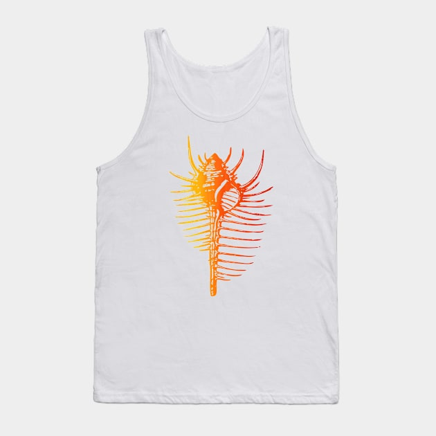 Venus Comb Murex Shell In Sunset Colors Tank Top by PhotoArts